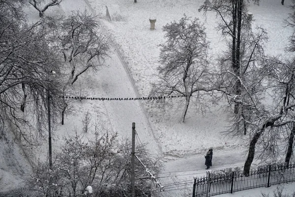 Снегопад Городе Москве Сильный Снегопад Многоквартирные Дома Зимой Зимний Пейзаж — стоковое фото