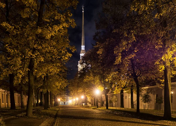Piękny Widok Miasto Sankt Petersburg Rosja — Zdjęcie stockowe