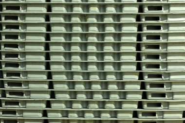 Mobilya ve diğer ürünlerin üretimi için çam ağacından yapılmış bir kalkan yığını..