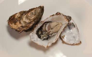 Çiğ balık. Balık pişirmeye hazır. Tahta masadaki balık ve baharatlar..