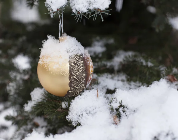 Vackra jul dekorationer bakgrund — Stockfoto