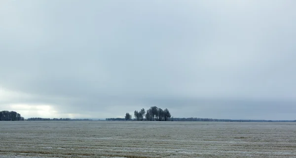 Út, télen — Stock Fotó