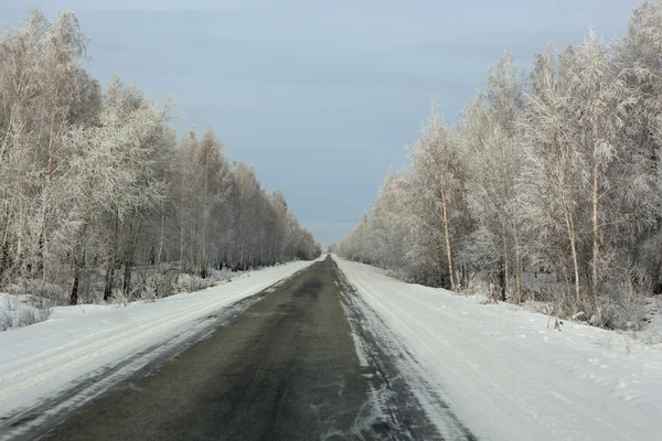 Cesta v zimě — Stock fotografie