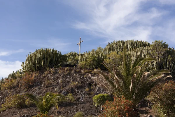 Prachtig landschap — Stockfoto