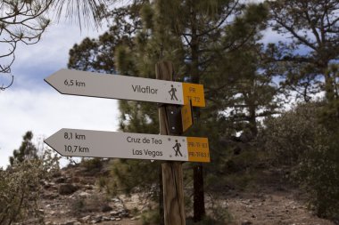 Erkek ve kadın yürüyüşçü yaz dağlarda trekking.