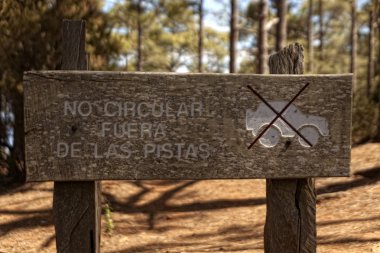 Erkek ve kadın yürüyüşçü yaz dağlarda trekking.