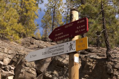 Erkek ve kadın yürüyüşçü yaz dağlarda trekking.