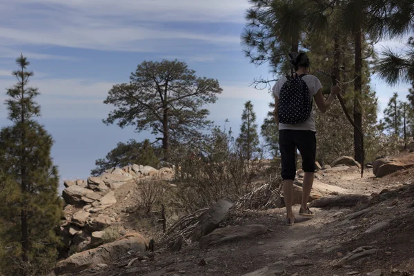 Man and woman hikers trekking in summer mountains. — Stock Photo, Image