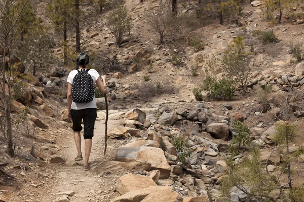 Man and woman hikers trekking in summer mountains. — Stock Photo, Image