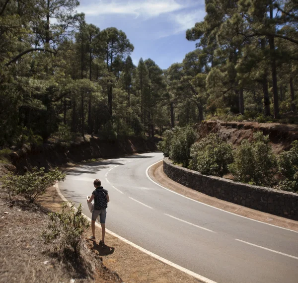 Senderistas y excursionistas trekking en las montañas de verano . — Foto de Stock