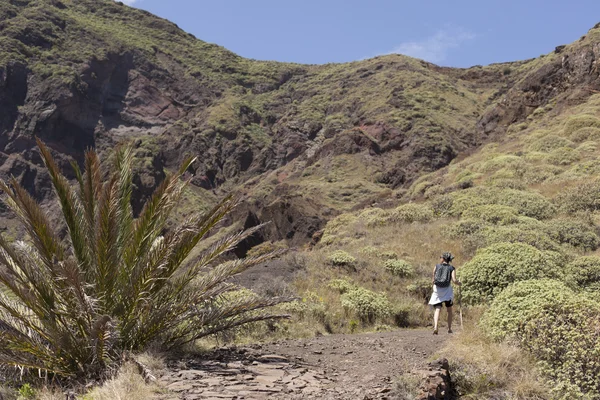 Senderistas y excursionistas trekking en las montañas de verano . —  Fotos de Stock