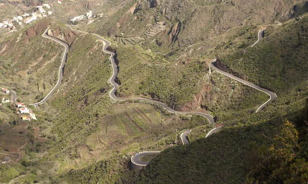 El camino en la isla de Tenerife —  Fotos de Stock