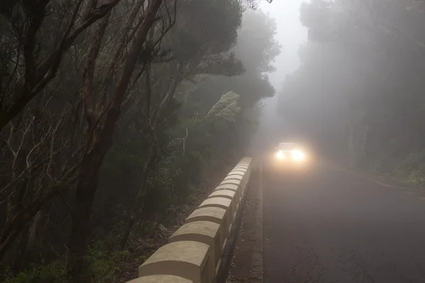 Yolun Tenerife adasında — Stok fotoğraf