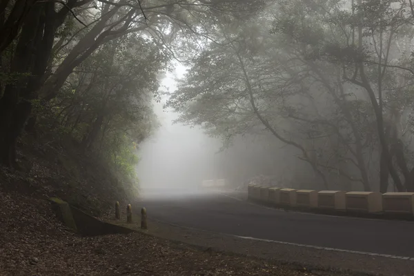 The road on  Tenerife island — Stock Photo, Image