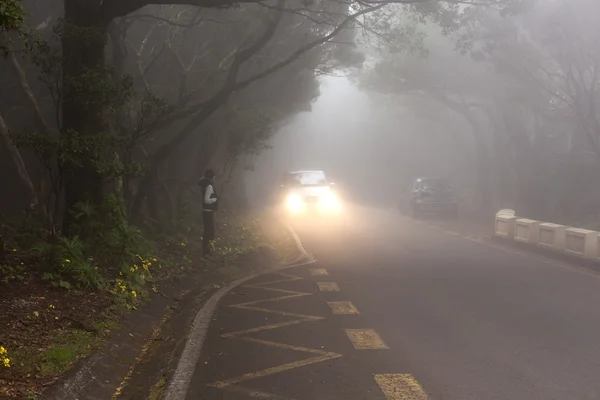 El camino en la isla de Tenerife — Foto de Stock