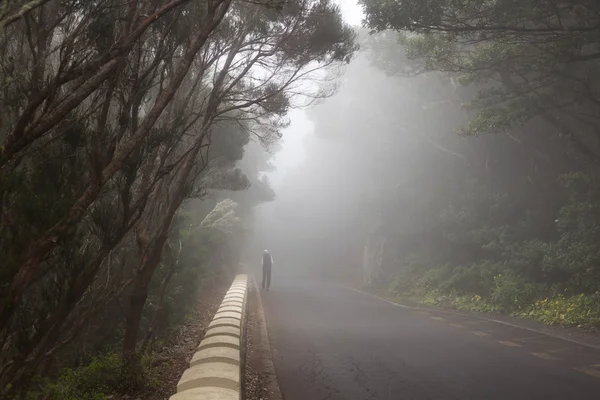 La strada sull'isola di Tenerife — Foto Stock