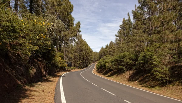 La strada sull'isola di Tenerife — Foto Stock
