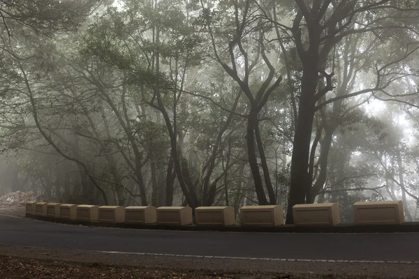 De weg op het eiland Tenerife — Stockfoto