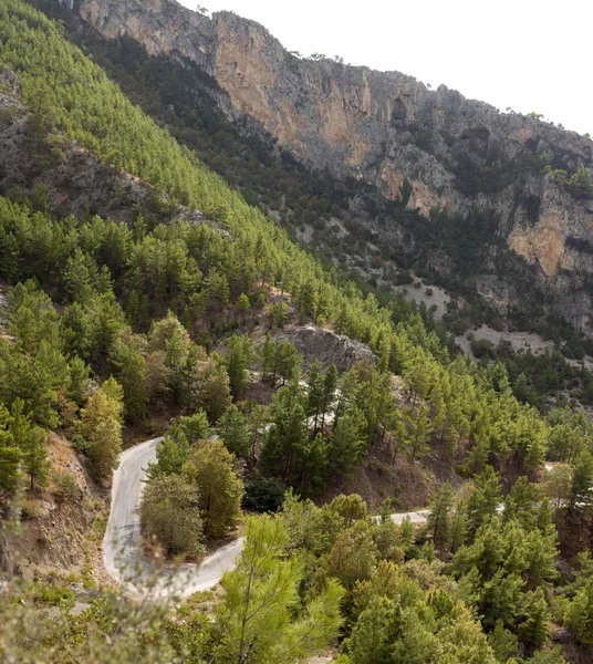 Camino de montaña en Turquía —  Fotos de Stock