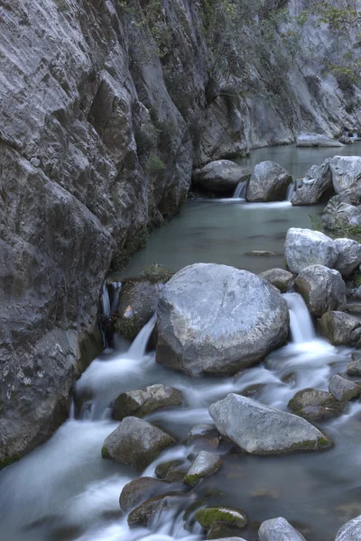 Forest waterfall — Stock Photo, Image