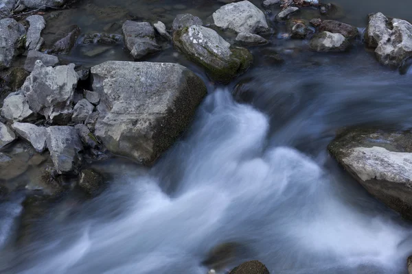 Forest waterfall — Stock Photo, Image