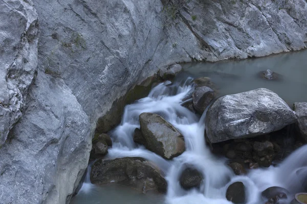 Forest waterfall — Stock Photo, Image