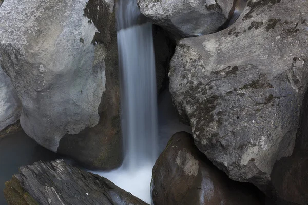 Forest waterfall — Stock Photo, Image