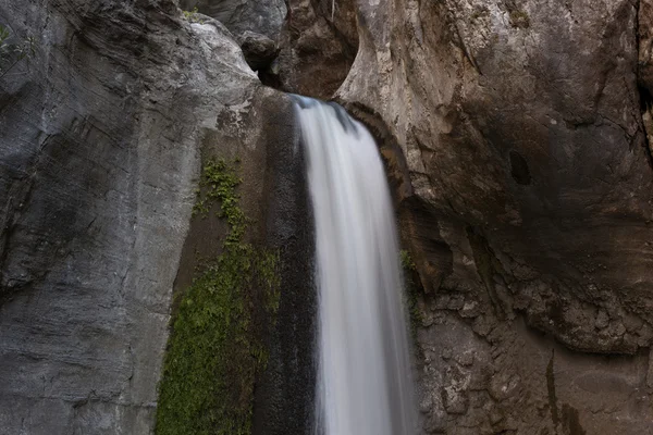 Forest waterfall — Stock Photo, Image