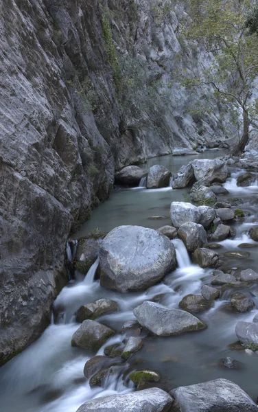 Forest waterfall — Stock Photo, Image