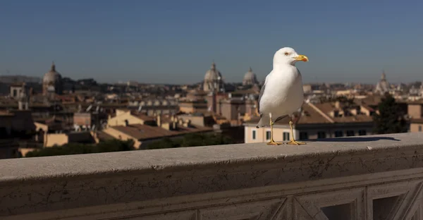 Pohled na historické centrum Říma, Itálie — Stock fotografie
