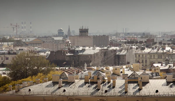 San Petersburgo. Vista de la ciudad desde el punto más alto. Rusia . —  Fotos de Stock