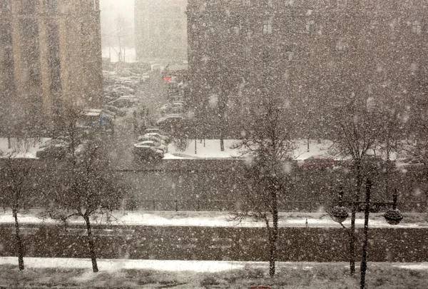 พายุหิมะ — ภาพถ่ายสต็อก
