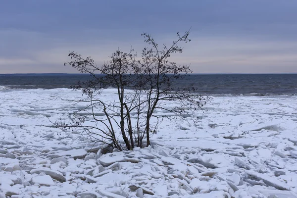 Paysage côtier hivernal avec glace et neige sur la plage — Photo