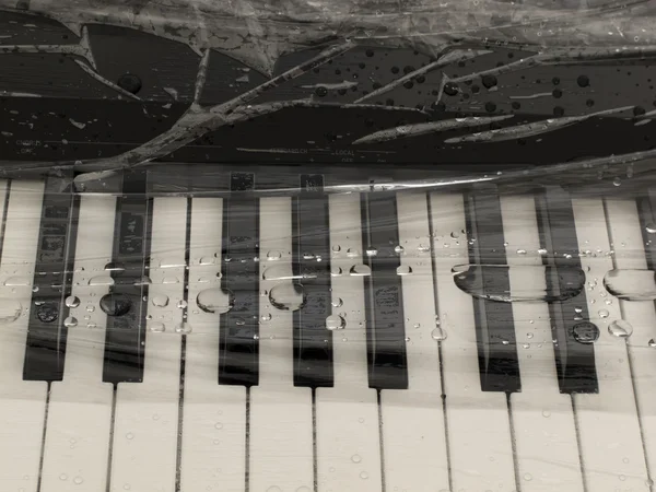 Nahaufnahme der Klaviertasten — Stockfoto