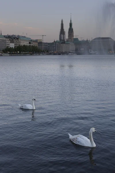 Beautiful views of Hamburg. — Stock Photo, Image