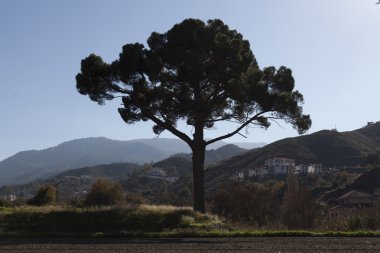 Kıbrıs adasında manzara.