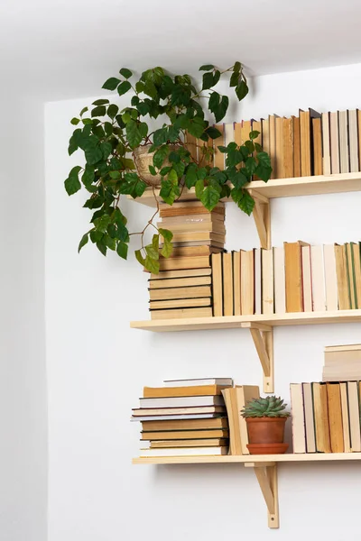 Estantes Madeira Clara Com Livros Invertidos Hardback Interior Branco Flores — Fotografia de Stock