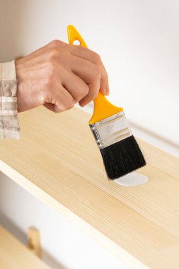 Ressam kitaplığı cilalıyor, erkek eli boya fırçasıyla.