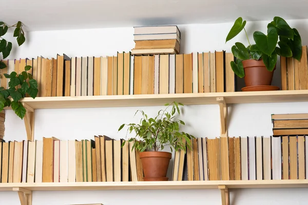 Librerie Legno Chiaro Con Libri Rigidi Rovesciati Interni Bianchi Fiori — Foto Stock