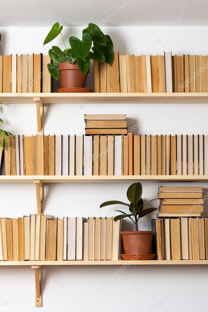 Light wooden bookshelves with hardback overturned books in white interior, indoor flowers on the shelves, home library, biophilic design and plants