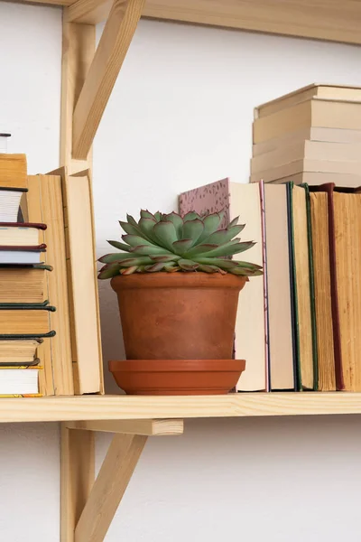 Light Wooden Bookshelves Hardback Overturned Books White Interior Indoor Flowers — Stock Photo, Image