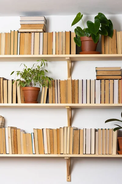 Helle Bücherregale Aus Holz Mit Umgestülpten Büchern Weißem Interieur Zimmerblumen — Stockfoto