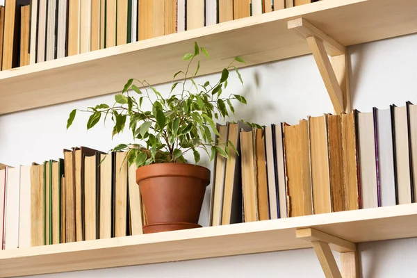 Könnyű Fából Készült Könyvespolcok Keménykötésű Felborult Könyvekkel Fehér Belsővel Beltéri — Stock Fotó