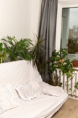 Kanepenin arkasında yeşil ev bitkileri, iç mekanın bir kısmı, dinlenmek ve çalışmak için sağlıklı bir alan, biyofilik tasarım.