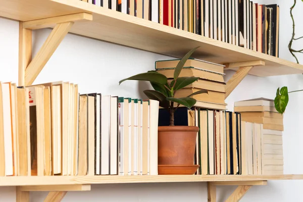 Librerie Legno Chiaro Con Libri Rigidi Rovesciati Interni Bianchi Fiori — Foto Stock