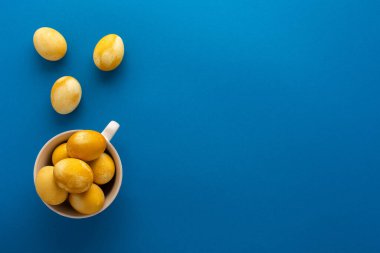 Paskalya sarısı parlak mavi arka planda bir kupada yumurta boyası, Paskalya bayramı konsepti.