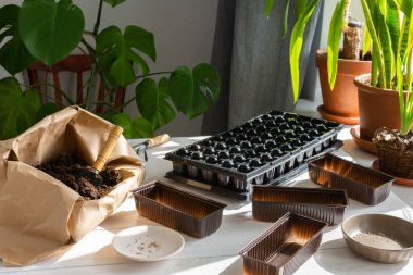 Tahta arka planda tohum ekmek için plastik form, toprak ve bahçe malası ve tırmıkla kağıt torba, ekin için domates tohumu, bahar baharı için hazırlık, evde tohum ekme