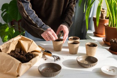 Tohum ekmek için çevre dostu tencereler, toprak ve bahçe malası ve tırmık dolu kağıt torba, ekilecek domates tohumu, bir adam eve fidanlar ekiyor.
