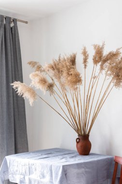 Kil sürahide kuru kamış kamışı