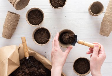 Bahçe küreği ve zemin olan kadın elleri.